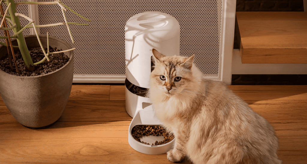 PETLIBRO Granary Smart Pet Feeder with Camera detail view