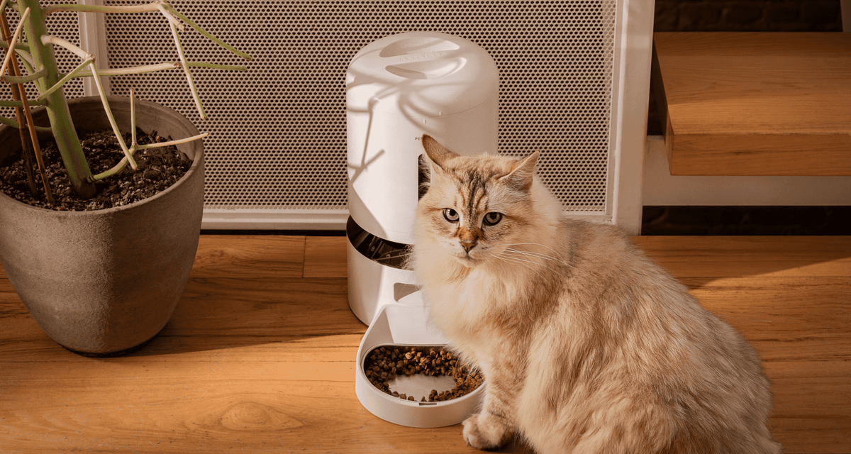 PETLIBRO Granary Smart Pet Feeder with Camera detail view