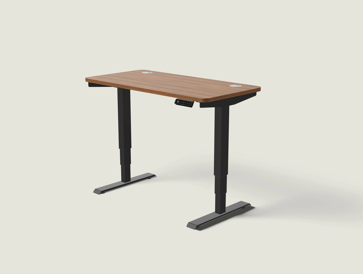 Desktronic HomePro electric standing desk