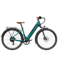 Fiido C11 Pro electric city bike side view