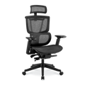 FlexiSpot C7 ergonomic office chair front view