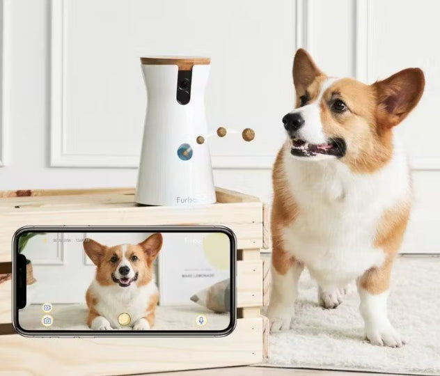 Furbo 360 Dog Camera tossing treats to a dog with live app view