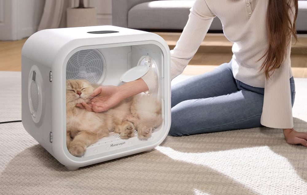 Homerunpet Drybo Plus pet dryer with cat and open door