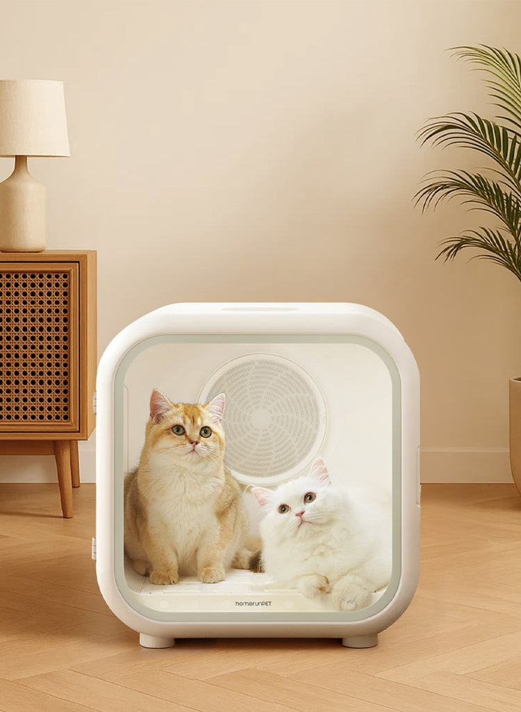 Homerunpet Drybo Plus smart pet dryer with two cats