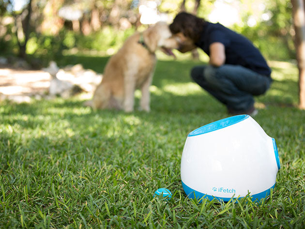 iFetch Too automatic ball launcher on lawn with dog