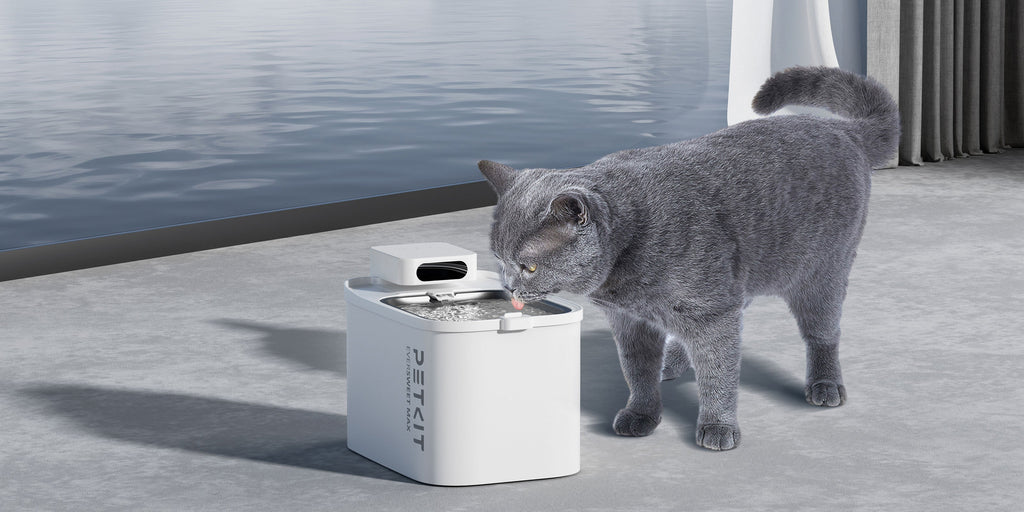 PETKIT EVERSWEET MAX cordless fountain with pet drinking