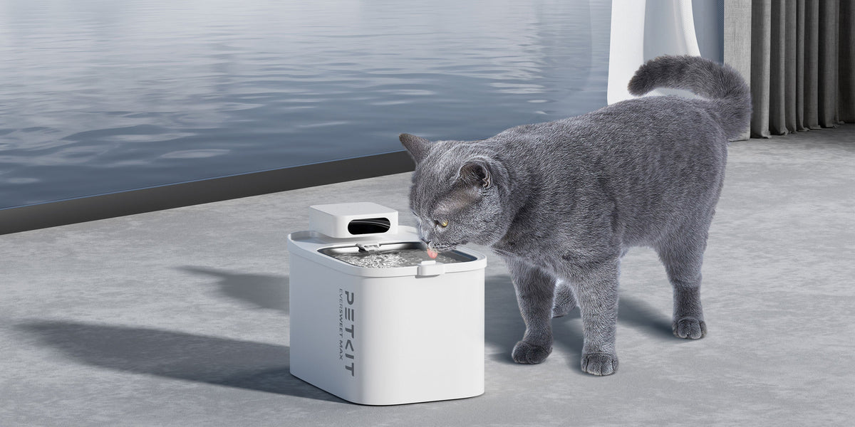 PETKIT EVERSWEET MAX cordless fountain with pet drinking