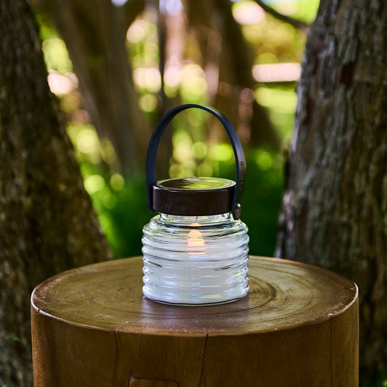 Sirius Aston Solar Jar 12 cm in garden setting